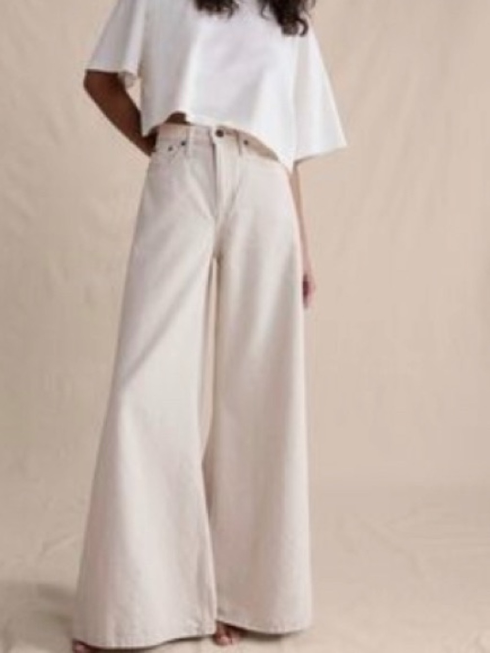 Banana Republic 2025 Cream Linenblend wide Leg High Rise Palazzo Jeans 29